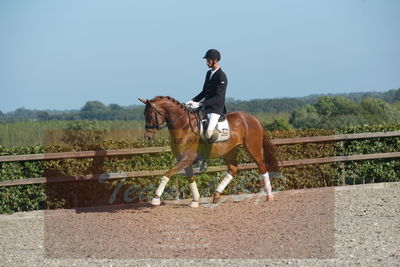 Blue Hors Dressuchampionat 2019 4års
Billeder fra stævnet
Nøgleord: dam's first class;adam sparlund olesen