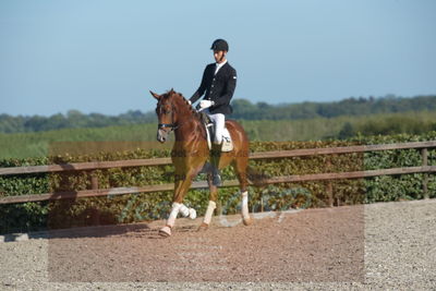 Blue Hors Dressuchampionat 2019 4års
Billeder fra stævnet
Nøgleord: dam's first class;adam sparlund olesen