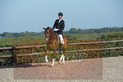 Blue Hors Dressuchampionat 2019 4års
Billeder fra stævnet
Nøgleord: dam's first class;adam sparlund olesen