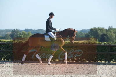 Blue Hors Dressuchampionat 2019 4års
Billeder fra stævnet
Nøgleord: dam's first class;adam sparlund olesen