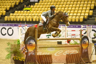 Worldcup Herning 2019
Nøgleord: noona wildfang linde;eurvette o