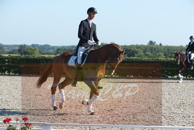 Blue Hors Dressuchampionat 2019 4års
Billeder fra stævnet
Nøgleord: dam's first class;adam sparlund olesen