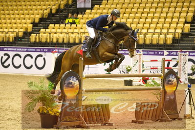 Worldcup Herning 2019
Nøgleord: flemming ripke;castanea 3