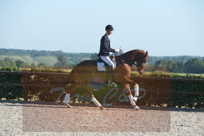 Blue Hors Dressuchampionat 2019 4års
Billeder fra stævnet
Nøgleord: dam's first class;adam sparlund olesen