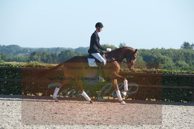 Blue Hors Dressuchampionat 2019 4års
Billeder fra stævnet
Nøgleord: dam's first class;adam sparlund olesen