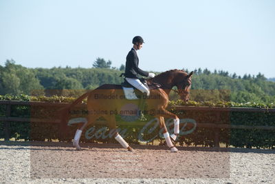 Blue Hors Dressuchampionat 2019 4års
Billeder fra stævnet
Nøgleord: dam's first class;adam sparlund olesen