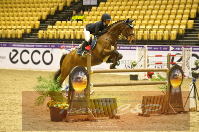 Worldcup Herning 2019
Nøgleord: elin jörenius;eduard