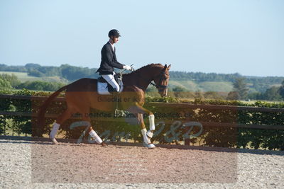 Blue Hors Dressuchampionat 2019 4års
Billeder fra stævnet
Nøgleord: dam's first class;adam sparlund olesen