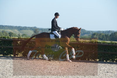 Blue Hors Dressuchampionat 2019 4års
Billeder fra stævnet
Nøgleord: dam's first class;adam sparlund olesen