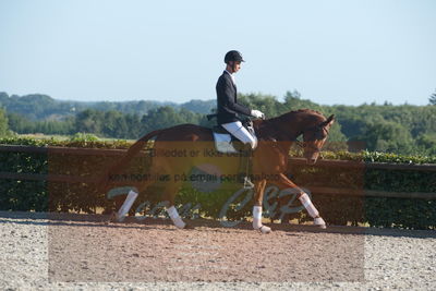 Blue Hors Dressuchampionat 2019 4års
Billeder fra stævnet
Nøgleord: dam's first class;adam sparlund olesen