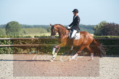 Blue Hors Dressuchampionat 2019 4års
Billeder fra stævnet
Nøgleord: dam's first class;adam sparlund olesen