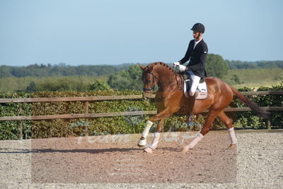 Blue Hors Dressuchampionat 2019 4års
Billeder fra stævnet
Nøgleord: dam's first class;adam sparlund olesen