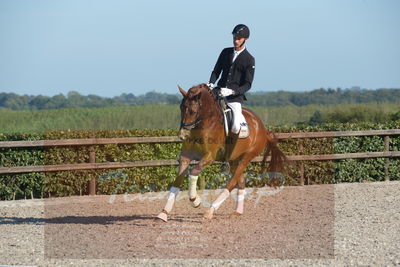 Blue Hors Dressuchampionat 2019 4års
Billeder fra stævnet
Nøgleord: dam's first class;adam sparlund olesen