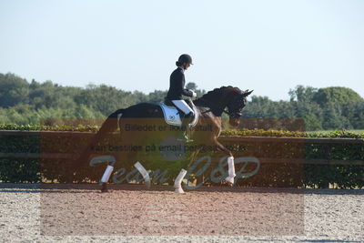 Blue Hors Dressuchampionat 2019 4års
Billeder fra stævnet
Nøgleord: st souci;tanja rusovic