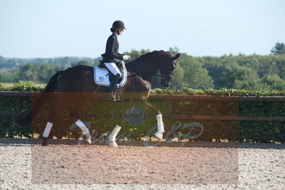 Blue Hors Dressuchampionat 2019 4års
Billeder fra stævnet
Nøgleord: st souci;tanja rusovic