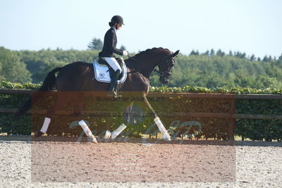 Blue Hors Dressuchampionat 2019 4års
Billeder fra stævnet
Nøgleord: st souci;tanja rusovic