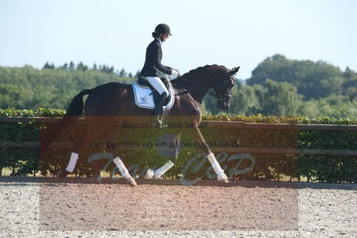 Blue Hors Dressuchampionat 2019 4års
Billeder fra stævnet
Nøgleord: st souci;tanja rusovic