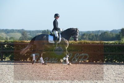 Blue Hors Dressuchampionat 2019 4års
Billeder fra stævnet
Nøgleord: skovsøgård's jax;emma ahlberg