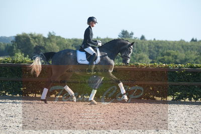 Blue Hors Dressuchampionat 2019 4års
Billeder fra stævnet
Nøgleord: skovsøgård's jax;emma ahlberg