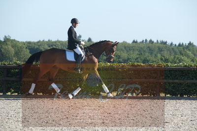 Blue Hors Dressuchampionat 2019 4års
Billeder fra stævnet
Nøgleord: lohmanns sivano;bruno christian nielsen