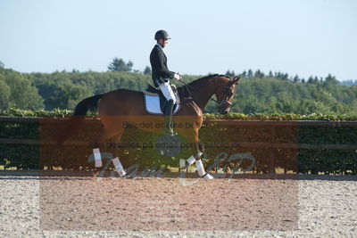 Blue Hors Dressuchampionat 2019 4års
Billeder fra stævnet
Nøgleord: lohmanns sivano;bruno christian nielsen