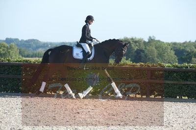 Blue Hors Dressuchampionat 2019 4års
Billeder fra stævnet
