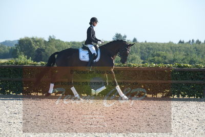 Blue Hors Dressuchampionat 2019 4års
Billeder fra stævnet
Nøgleord: st souci;tanja rusovic