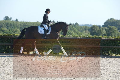 Blue Hors Dressuchampionat 2019 4års
Billeder fra stævnet
Nøgleord: st souci;tanja rusovic