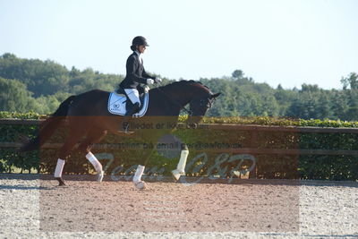 Blue Hors Dressuchampionat 2019 4års
Billeder fra stævnet
Nøgleord: st souci;tanja rusovic