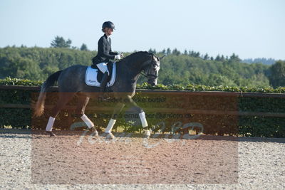 Blue Hors Dressuchampionat 2019 4års
Billeder fra stævnet
Nøgleord: skovsøgård's jax;emma ahlberg