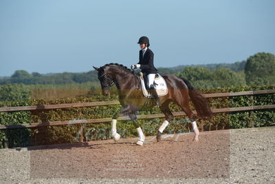 Blue Hors Dressuchampionat 2019 4års
Billeder fra stævnet
Nøgleord: st souci;tanja rusovic