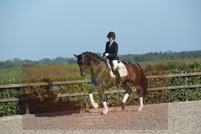 Blue Hors Dressuchampionat 2019 4års
Billeder fra stævnet
Nøgleord: st souci;tanja rusovic