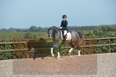 Blue Hors Dressuchampionat 2019 4års
Billeder fra stævnet
Nøgleord: skovsøgård's jax;emma ahlberg