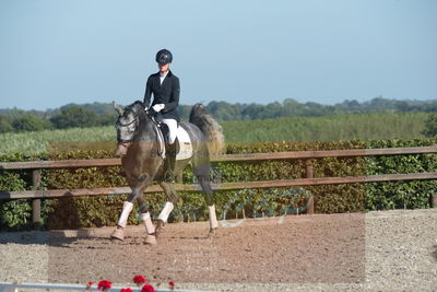 Blue Hors Dressuchampionat 2019 4års
Billeder fra stævnet
Nøgleord: skovsøgård's jax;emma ahlberg