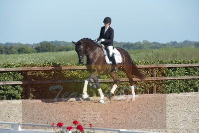 Blue Hors Dressuchampionat 2019 4års
Billeder fra stævnet
