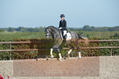 Blue Hors Dressuchampionat 2019 4års
Billeder fra stævnet
Nøgleord: skovsøgård's jax;emma ahlberg