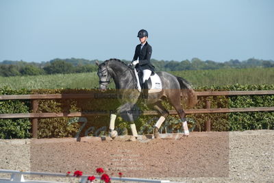 Blue Hors Dressuchampionat 2019 4års
Billeder fra stævnet
Nøgleord: skovsøgård's jax;emma ahlberg