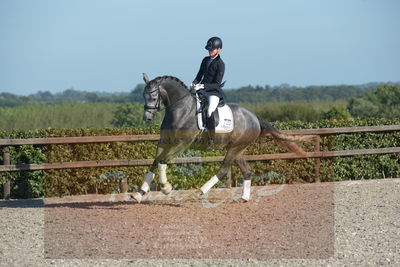 Blue Hors Dressuchampionat 2019 4års
Billeder fra stævnet
Nøgleord: skovsøgård's jax;emma ahlberg