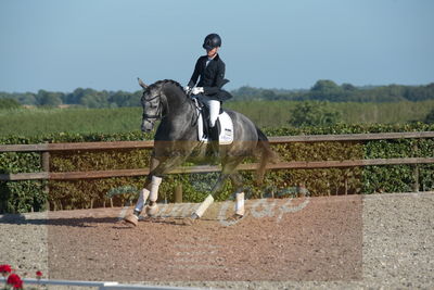 Blue Hors Dressuchampionat 2019 4års
Billeder fra stævnet
Nøgleord: skovsøgård's jax;emma ahlberg