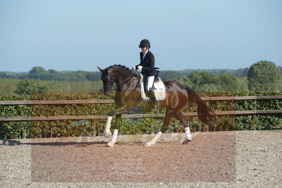 Blue Hors Dressuchampionat 2019 4års
Billeder fra stævnet
Nøgleord: st souci;tanja rusovic