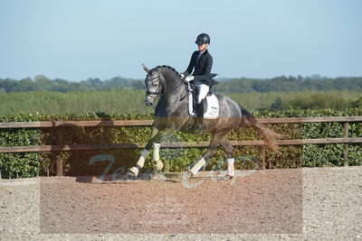 Blue Hors Dressuchampionat 2019 4års
Billeder fra stævnet
Nøgleord: skovsøgård's jax;emma ahlberg