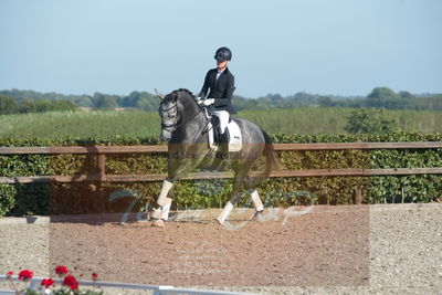 Blue Hors Dressuchampionat 2019 4års
Billeder fra stævnet
Nøgleord: skovsøgård's jax;emma ahlberg