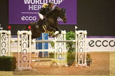 Worldcup Herning 2019
Nøgleord: sara spåbæk johansen;raabjergs gazella