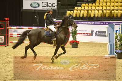 Worldcup Herning 2019
Nøgleord: sara spåbæk johansen;raabjergs gazella