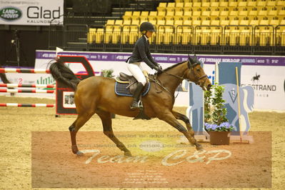 Worldcup Herning 2019
Nøgleord: anna hästbacka;esminka