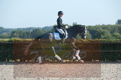 Blue Hors Dressuchampionat 2019 4års
Billeder fra stævnet
Nøgleord: skovsøgård's jax;emma ahlberg