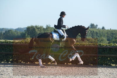 Blue Hors Dressuchampionat 2019 4års
Billeder fra stævnet
Nøgleord: st souci;tanja rusovic