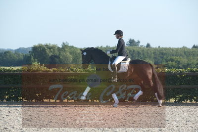 Blue Hors Dressuchampionat 2019 4års
Billeder fra stævnet
Nøgleord: ferrari;helena b hansen