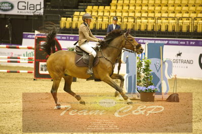 Worldcup Herning 2019
Nøgleord: cecilie voller kjærulff;hamilton-f