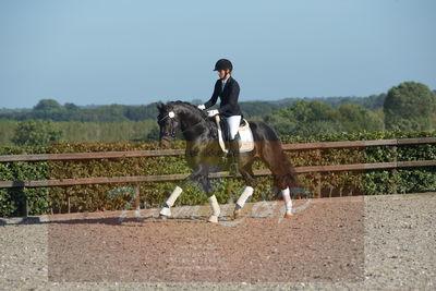Blue Hors Dressuchampionat 2019 4års
Billeder fra stævnet
Nøgleord: ferrari;helena b hansen